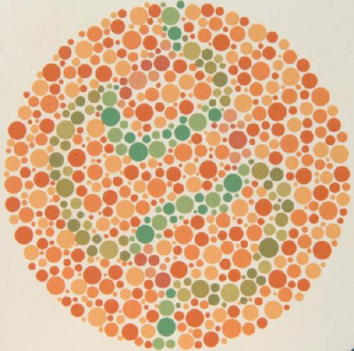 ISHIHARA, barvocitné tabulky, 24 tabulek
